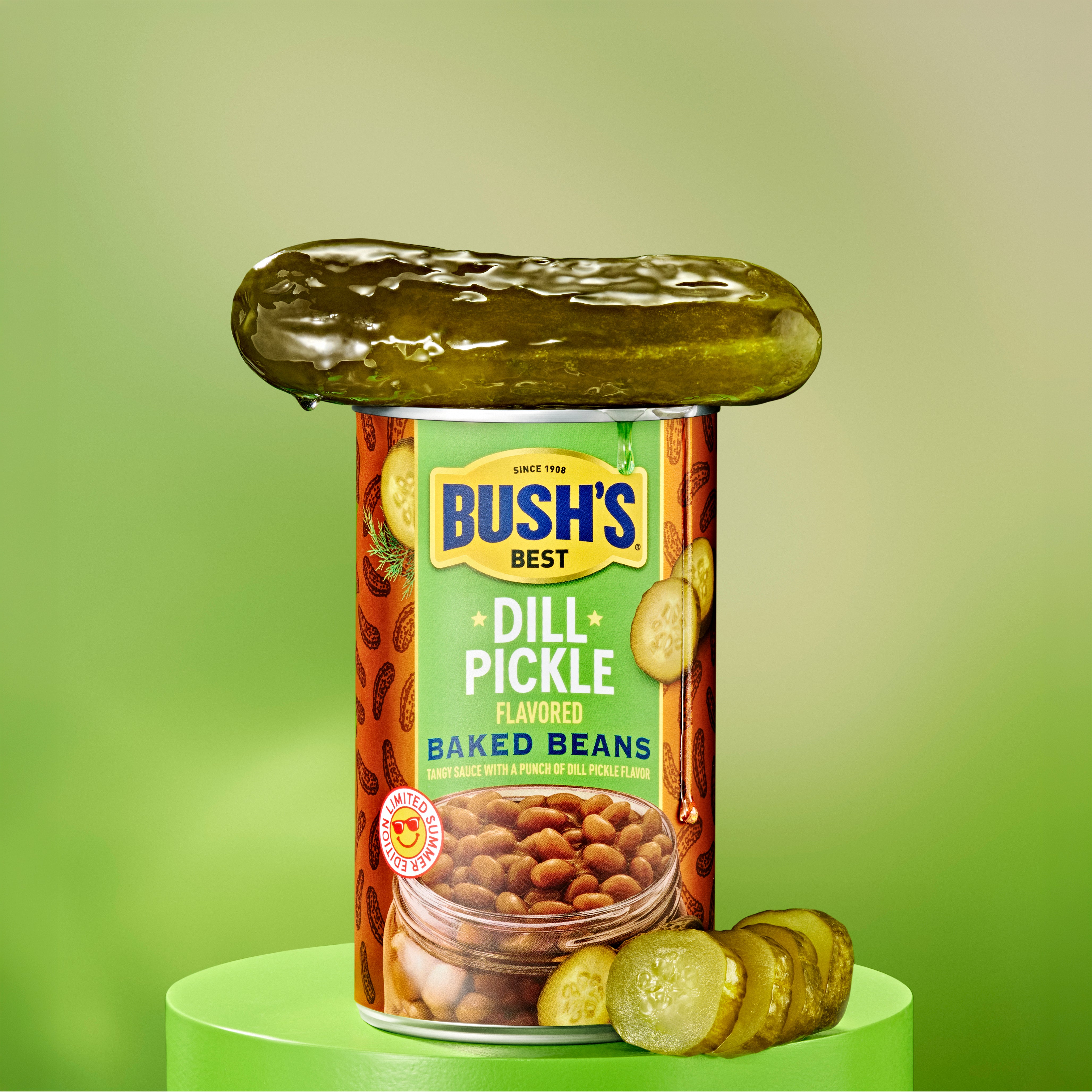 Bush's Baked Beans Summer Limited-Edition Multi-Pack – Shop