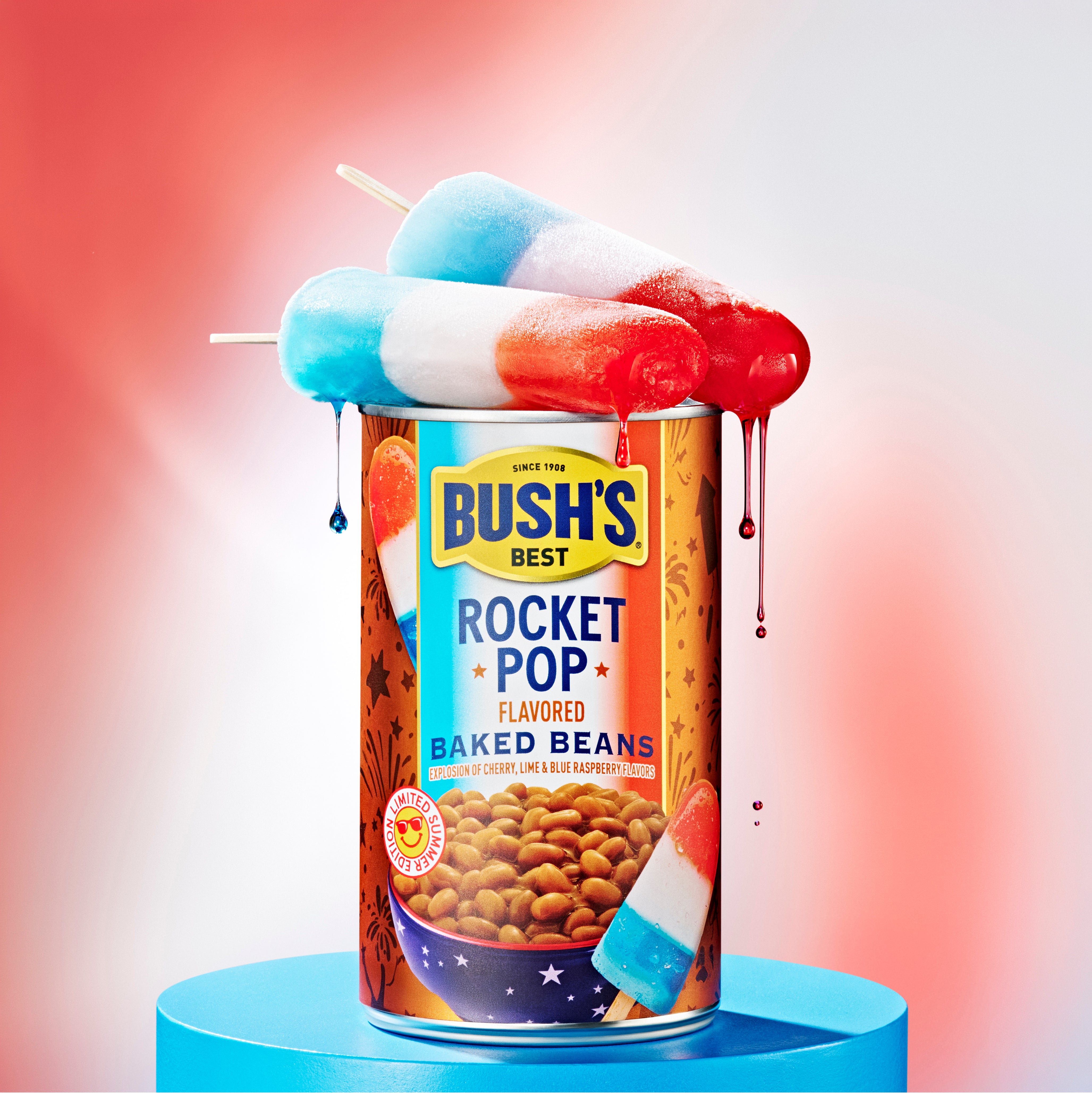 Bush's Baked Beans Summer Limited-Edition Multi-Pack – Shop