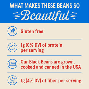 Black Bean Bean Dip (9.5oz) — 6 Pack