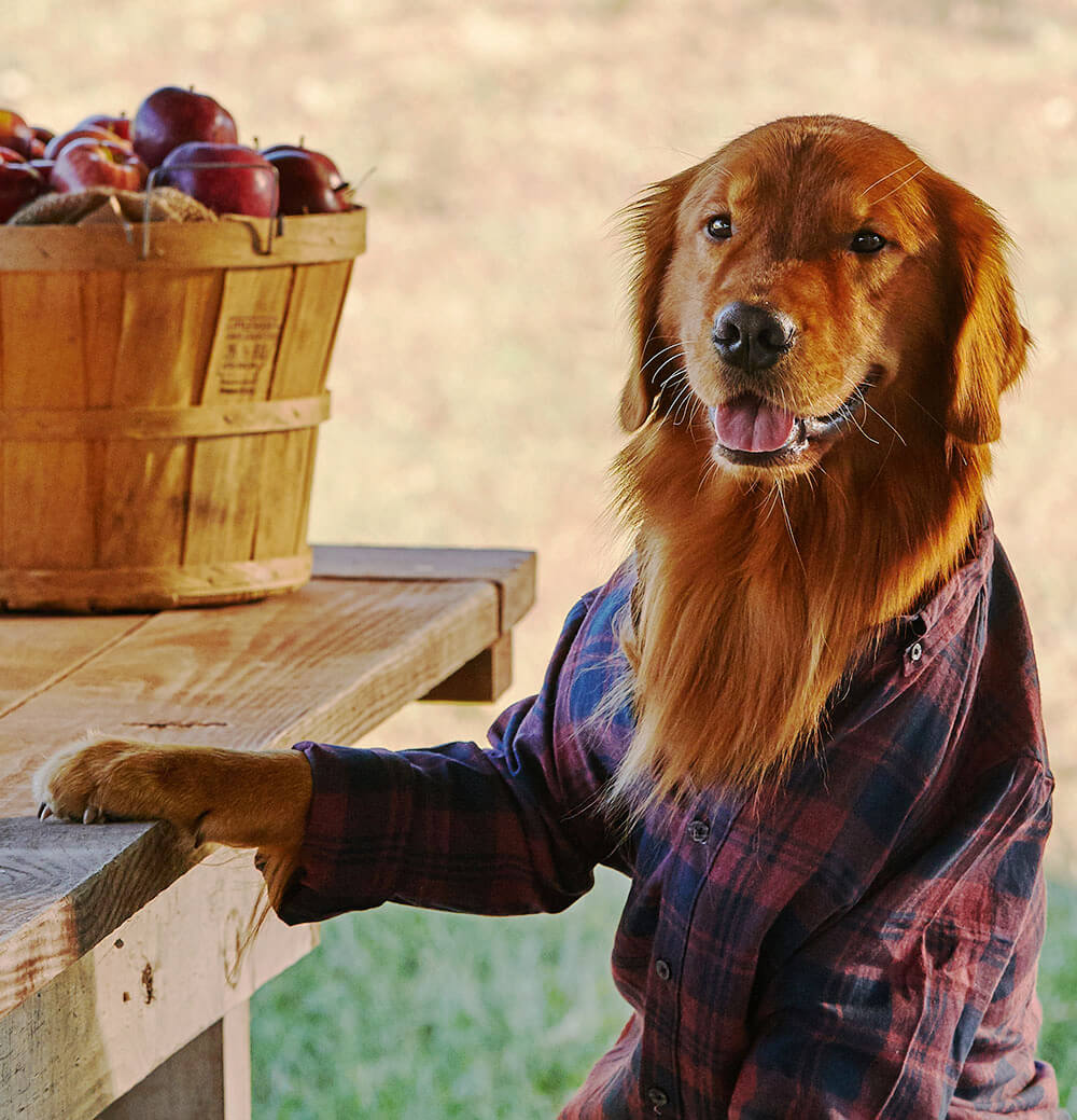 Duke's Flannel